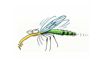 Tájékoztató légi biológiai szúnyoggyérítésről