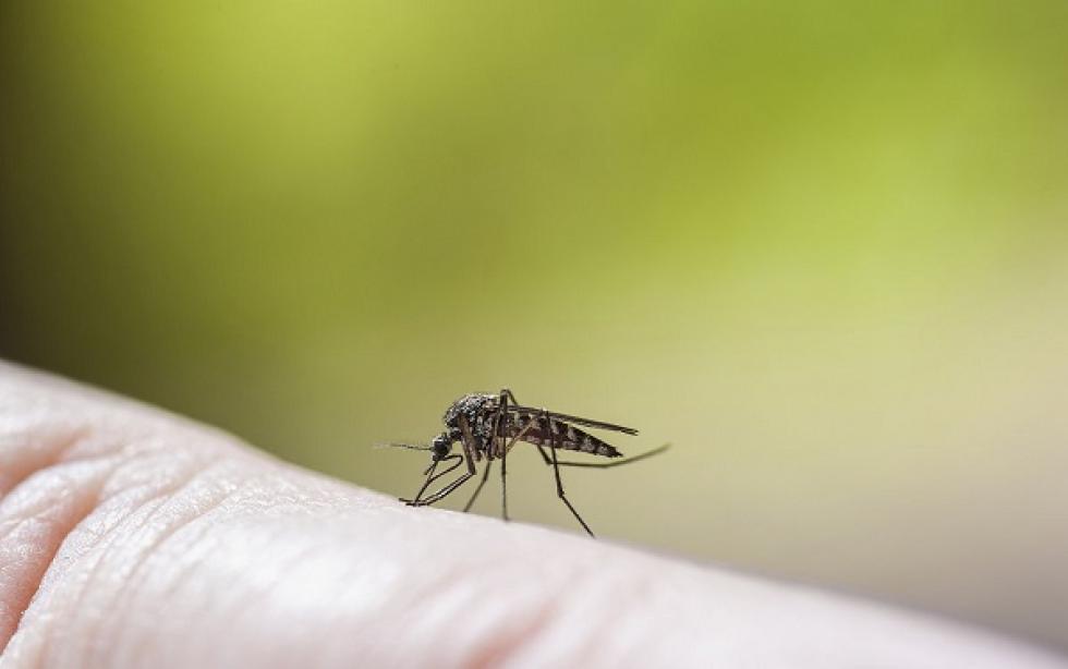 Tájékoztató légi biológiai szúnyoggyérítésről